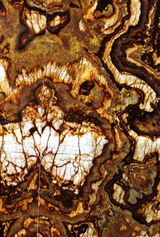 Tiger Onyx translucent thin stone panel shown backlit