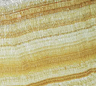 Honey Veincut Onyx translucent thin stone panel