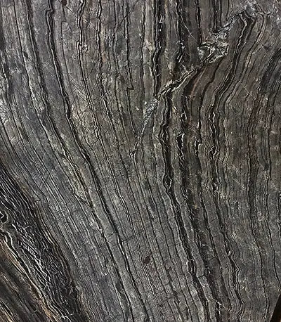 Antico Wood Vein Marble translucent thin stone panel