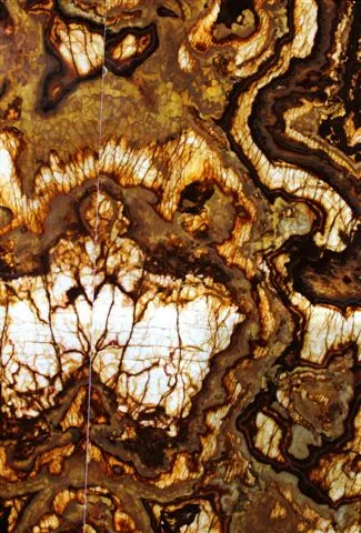 Tiger Onyx translucent thin stone panel shown backlit
